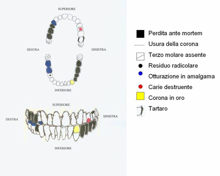 Immagine del Labanof, Universita degli Studi di Milano, diffusa per il riconoscimento