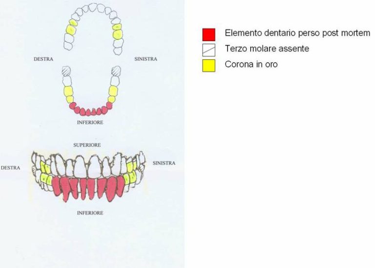 Immagine del Labanof, Universita degli Studi di Milano, diffusa per il riconoscimento