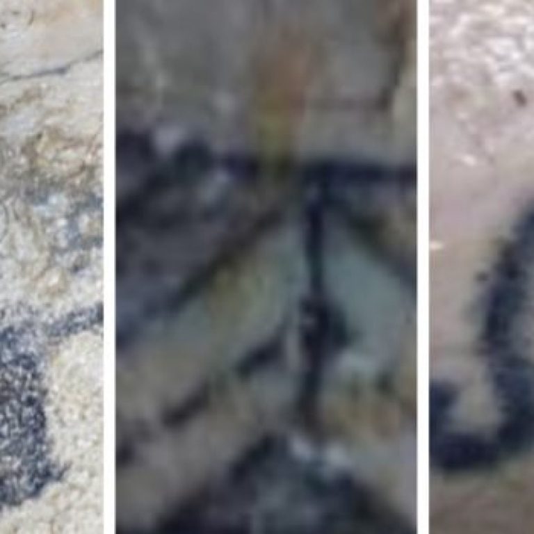 Immagine riepilogativa dei tatuaggi diffusa dalla procura di Termini Imerese per l'identificazione dei tre sub