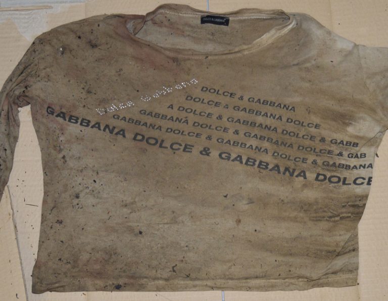 Immagine del Labanof, Universita degli Studi di Milano, diffusa per il riconoscimento