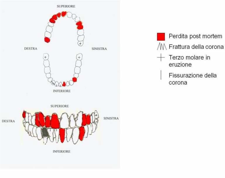 Immagine del Labanof, Universita degli Studi di Milano, diffusa per il riconoscimento