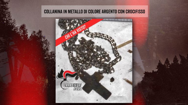Immagine diffusa da Chi l'ha visto? (Rai 3) per il riconoscimento