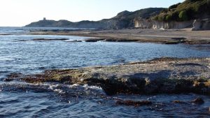 Trovato cadavere senza testa in spiaggia