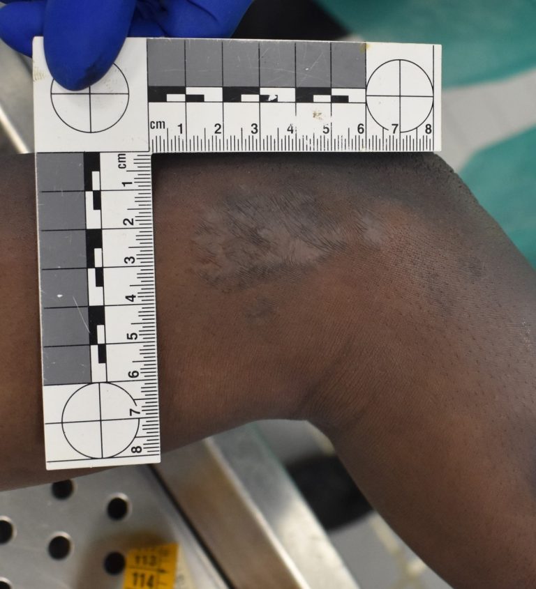 Immagine del Labanof, Universita degli Studi di Milano, diffusa per il riconoscimento