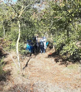 Morto nel bosco. Una banconota risolve il giallo
