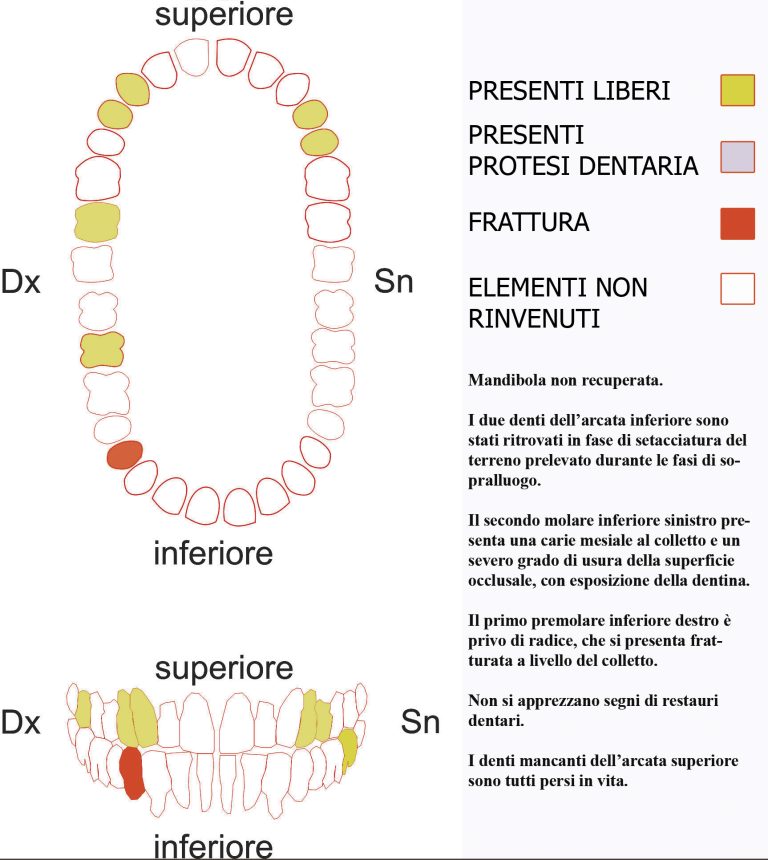 Immagine del Labanof, Universita degli Studi di Milano, diffusa per il riconoscimento